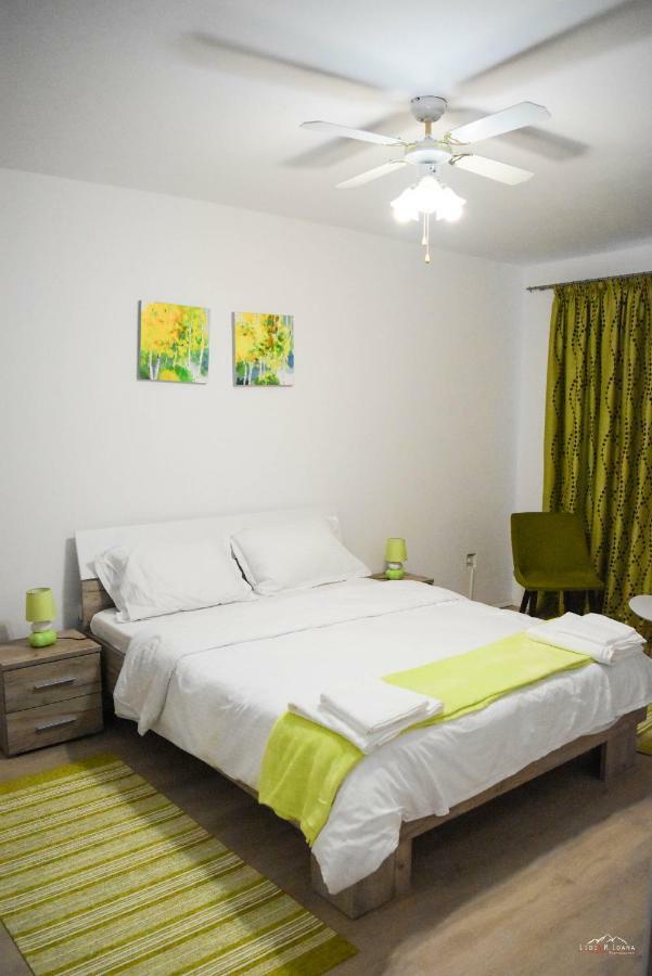 Spacious&cozy 3BD+Terrace Couples Apartment Timișoara Zewnętrze zdjęcie